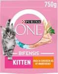 Purina ONE Kitten Dry Cat Food Rich in Chicken 750g, Pack of 4