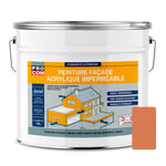 Peinture façade PROCOM crépi, façade à relief, imperméabilisation et protection des façades - Durable jusqu'à 10 ans 10 litres Argile (RAL 050 60 40)