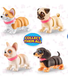 Pets Alive - Booty Shakin' Pups by ZURU Assortment Electronic Pet 1 Supplied