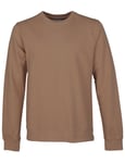 Colorful Standard Organic Cotton Crew Sweat - Sahara Camel Colour: Brown, Size: Medium