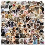 10/50/100St Söt Hundkatt Meme Roliga Djur Klistermärken Kawaii Tecknade Dekaler Skateboard Anteckningsboka Bagage Telefon Bil Sticker Toy 100pcs