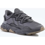 Baskets basses adidas  Adidas Ozweego Grey GX1832