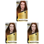 Schwarzkopf – Oleo Suprême – Coloration Permanente à l’Huile – Couleur et Eclat Longue Durée – sans Ammoniaque – Couvre 100% des Cheveux Blancs – HaptIQ Système – Cuivré Profond 6-76 (Lot de 3)