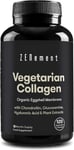 Vegetarian Collagen, from Organic Eggshell Membrane, 120 Capsules | with