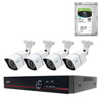 Kit de vidéosurveillance AHD PNI House PTZ1500 5MP - DVR et 4 caméras extérieures et HDD 1 to Inclus