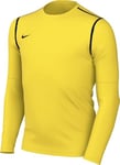 Nike FJ3008-719 Y NK DF PARK20 Crew TOP R Sweatshirt Unisex Tour Yellow/Black/Black Size XS