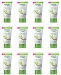 12 x SIMPLE Kind to Skin Moisturising Facial Wash (50ml) x 12 Pack