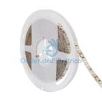 Led Strip W3500 Unp/20 (Closed Code) [Lstripwwxl]