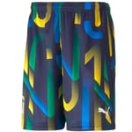 Miesten urheiluhousut Puma Neymar Jr. Future Printed Short M 605552-06, eri värejä