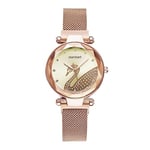 Basfur Dress Watch Fe-Montre-066-06