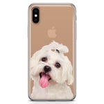 iPhone Xs Max Fashion Skal - Bichon Frisé