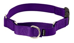 PetSafe Petite Martingale Collier avec Boucle Quick Snap