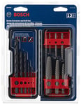 BOSCH BSPE6D 12-Piece Assorted Set Spiral Flute High-Carbon Steel Screw Extractor & Black Oxide Drill Bits Ideal for Removing Stripped Screws, Bolts, Fasteners