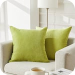 Topfinel Housse de Coussin 50x50 Vert Anis Lot de 2 Decoration Chambre Bebe Salon Maison Housses Coussins Canapé Lit Carrés Double Face de Couleur Uni en Chenille Doux avec Fermeture Eclair