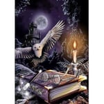 Ritning målarsatser DIY 5D Harry Potter's Owl diamond painting hemkonst inredning borrsöm hantverk e