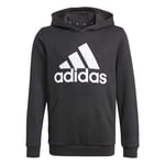 Adidas Boys Big Logo Hoody Kids huvtröja Svart 128 - Fri frakt