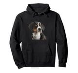 My big love is a big Swiss Mountain Dog Pullover Hoodie