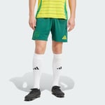 adidas Celtic FC 24/25 Away Shorts Men