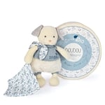 DOUDOU ET COMPAGNIE - Doudou Peluche Chien avec Mouchoir - En Coton Bio Bleu - 22 cm - Collection Doudou Botanic Bio - Avec Boite Cadeau Ronde - Idée Cadeau Naissance- Garantie Doudou Perdu - DC3964