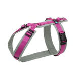 Anny-X Fun Hundsele - Grey/Pink XS