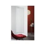 Radiateur Eau chaude Acova Altai Vertical Double 1142W - HYD-190-035