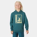 Helly Hansen Port Hettegenser Junior Grønn 140/10