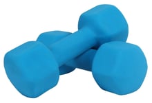 Shengluu Weights Dumbbells Sets Women Cast Iron Hex Color Dumbbells Sets Rubber Barbell Set For Home Fitness Exercise, Blue (Color : 3kg*2)