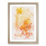 Big Box Art The Orange Jellyfish Watercolour Framed Wall Art Picture Print Ready to Hang, Oak A2 (62 x 45 cm)