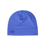 Arc'teryx Arc'teryx Rho Lightweight Wool Toque - Electra - Unisex - S-M- Naturkompaniet