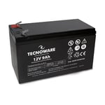 Tecnoware Power Systems Batterie au plomb étanche 12 V Charge 9 Ah - pour Onduleur, Systèmes de vidéosurveillance et alarme - Cosse Faston 6,3 mm - Dimensions 15,1 x 9,4 x 6,5 cm