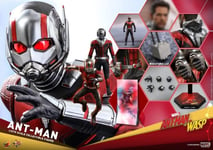 Movie Masterpiece Ant-Man&Wasp Ant-Man 1/6scale Action Figure Hot Toys Ma...