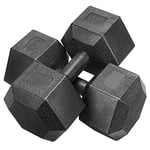 costoffs 2x10kg Dumbbells Arm Hand Weight Dumbbell Set Hexagon Dumbbell for Strength Training Home Workout Aerobic, Sold in Pair