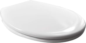 WOLTU Premium Soft Close Quick Release Toilet Seat with Dual Fixing