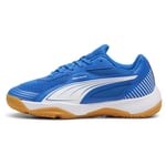 PUMA Solarflash Iii Indoor Sports Shoes Youth, storlek 35½