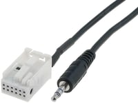 Cable Adaptateur AUX Jack - BMW 3 ap05