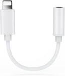 Adapter for Apple iPhone 3.5mm Jack Connector cable Headphone Aux All IOS Device