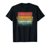 Born in the summer of 69 Vintage Retro Funny 1969 T-Shirt