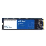 WD Blue SA510 WDS500G3B0B - SSD - 500 Go - interne - M.2 2280 - SATA 6Gb/s - bleu