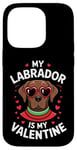 iPhone 14 Pro Chocolate Labrador My Valentines Hearts Day Dog Mom Dad Case