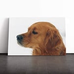 Big Box Art Canvas Print Wall Art Golden Retriever Dog | Mounted and Stretched Box Frame Picture | Home Decor for Kitchen, Living, Dining Room, Bedroom, Hallway, Multi-Colour, 20x14 Inch