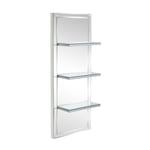 Mirrored Wall Mounted Shelving Unit