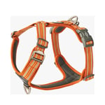 Dog Copenhagen Comfort Walk Air Harness Orange Sun 2024 - XL