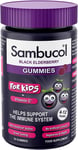 KIDS GUMMIES 30 Count, Nutritional Supplements for Kids