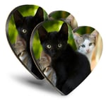 2x Heart MDF Coasters - Cute Kittens Black Tabby Ginger Cat  #24573