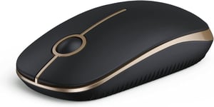 Souris sans fil, grande compatibilité 2.4 G, souris silencieuse, autonomie de 18 mois, précision de 1600 DPI, souris lisse pour PC, ordinateur portable et Windows/Mac/Linux,Noir et doré