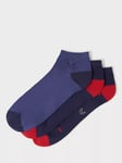 Crew Clothing Trainer Socks, Pack of 3, Multi