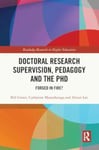 Doctoral Research Supervision, Pedagogy and the PhD  Forged in Fire?