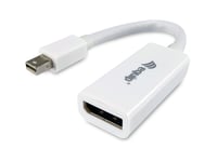 Equip Mini DisplayPort to DisplayPort adapter