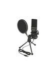 DeLOCK USB Condenser Microphone Set