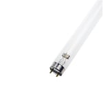 Osram bakteriedödande lysrör UV-C T8 15W, 438mm